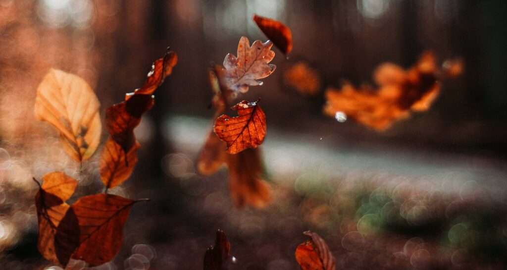 oliver hihn / Unsplash