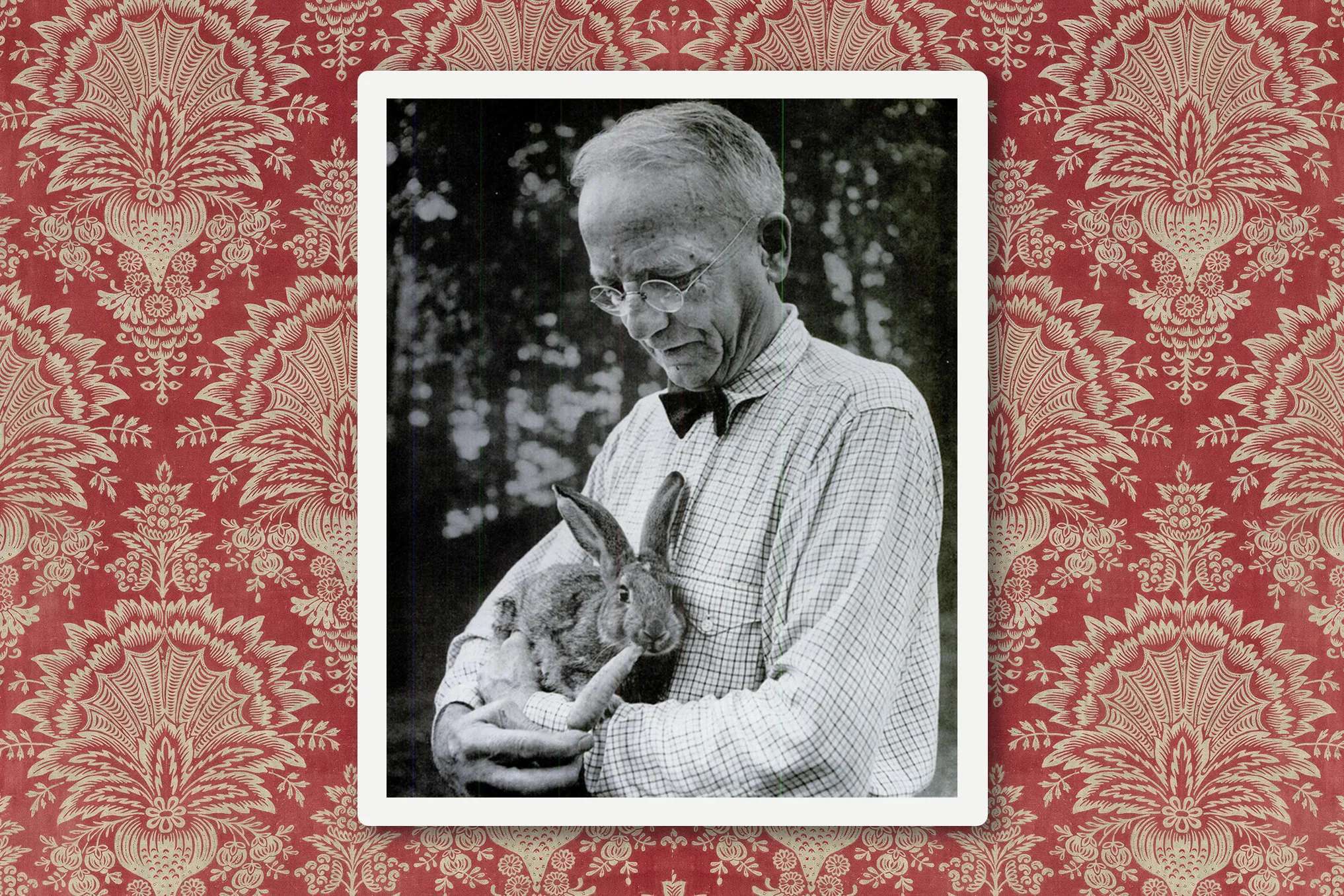 Thornton W. Burgess, Life Magazine, Aug 28, 1944