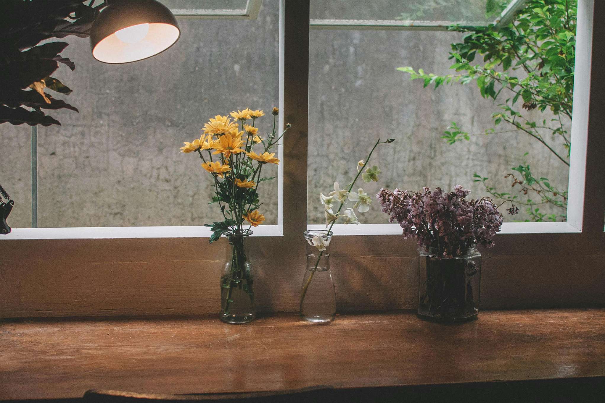 Abandon / Pexels