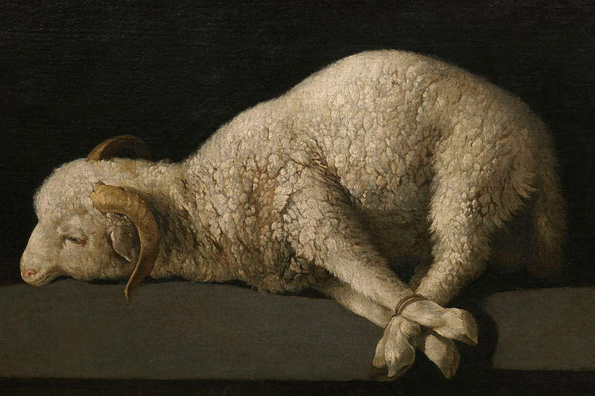 Agnus Dei, Francisco de Zurbarán, 1635-1640