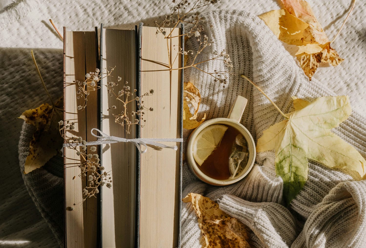 Reading Hallenge Fall reading challenge 2026 | Zeale