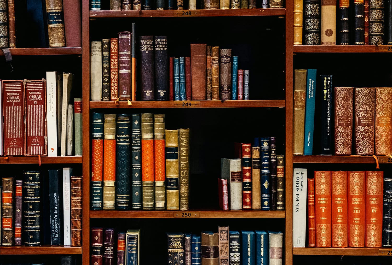 Reading Hallenge Fall reading challenge 2026 | Zeale