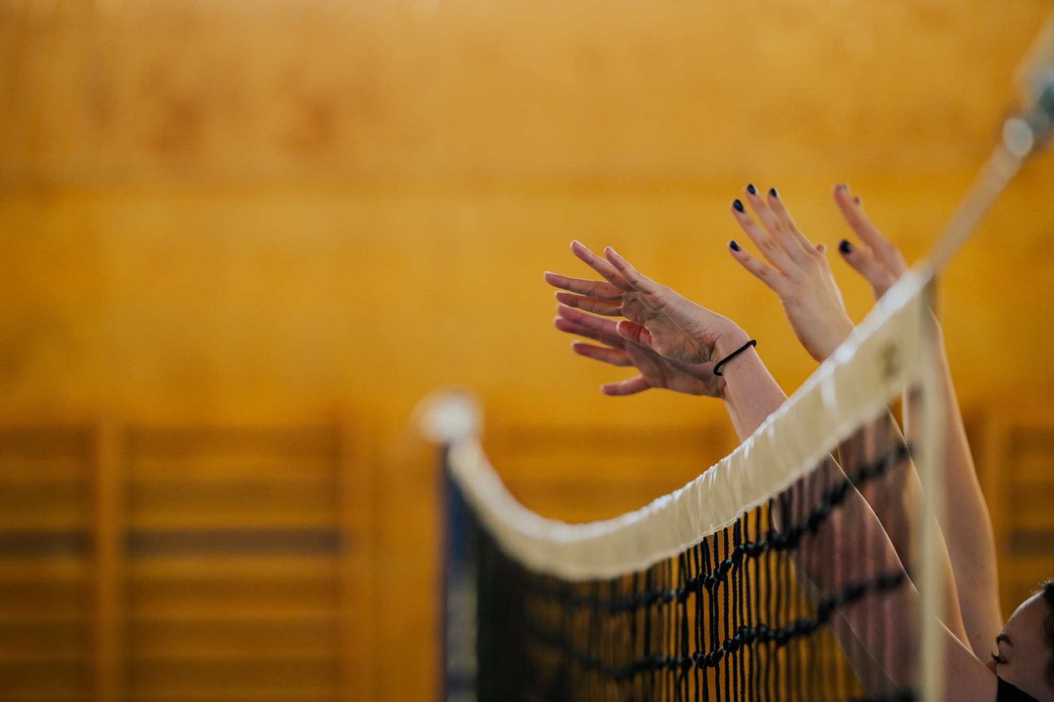 16-year-old Michigan volleyball player files Title IX lawsuit over male ...