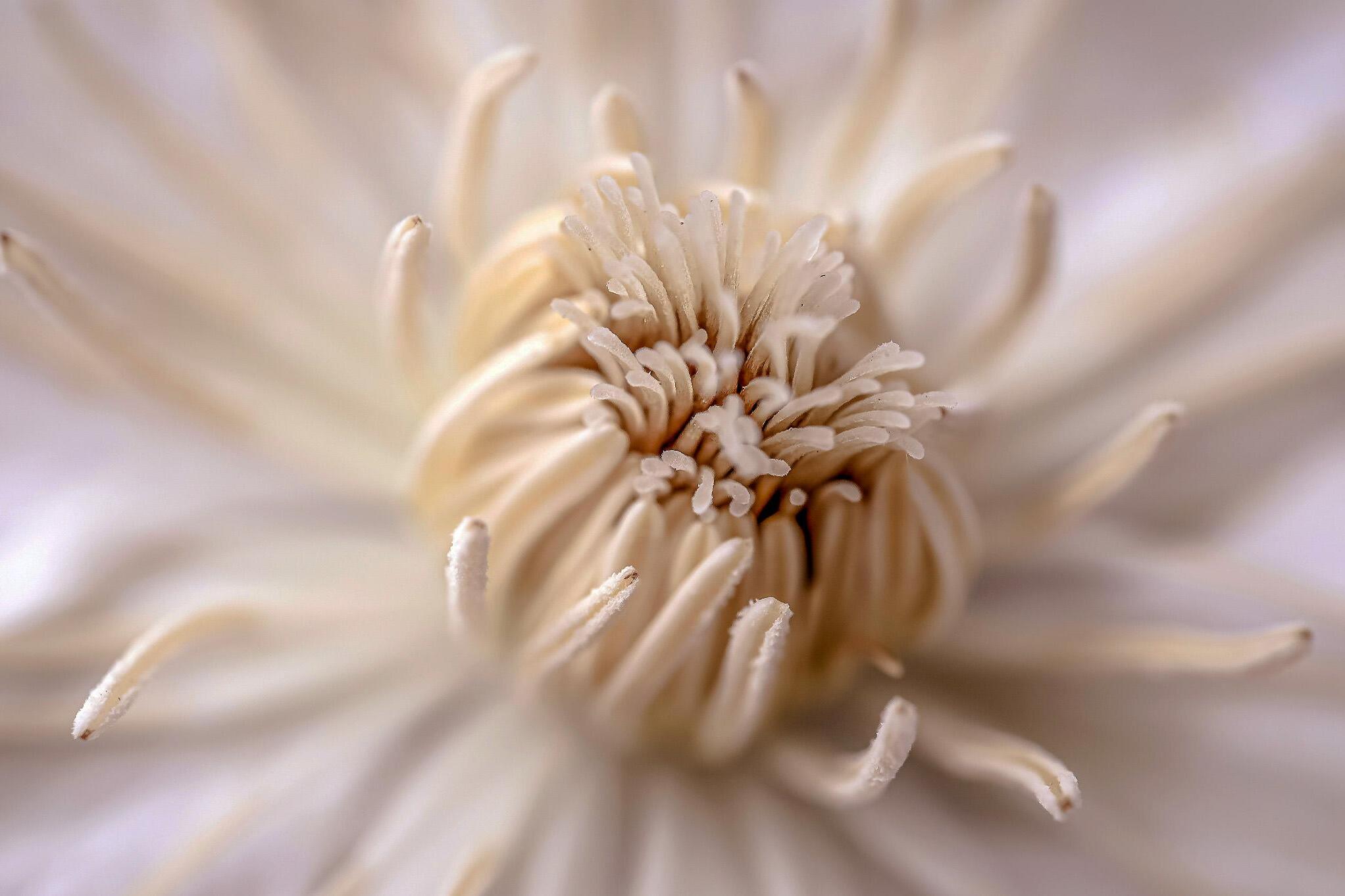 Dustin Humes / Unsplash