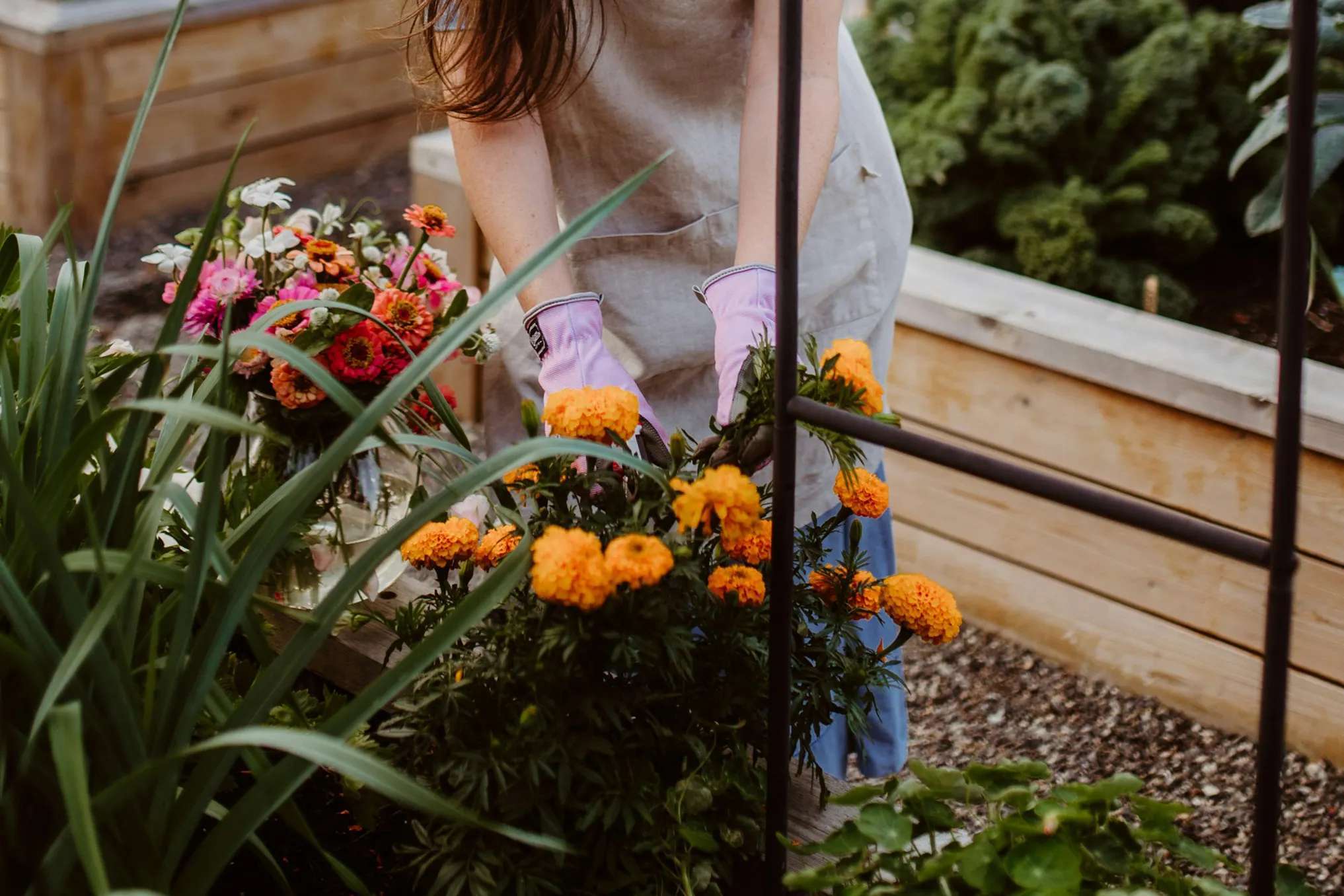 Amie Roussel / Unsplash