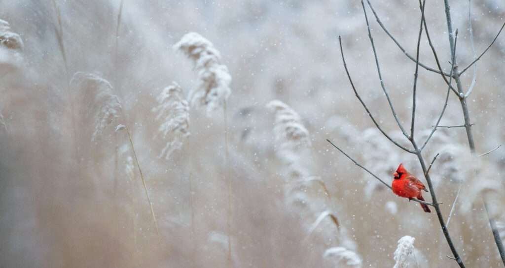 Ray Hennessy / Unsplash